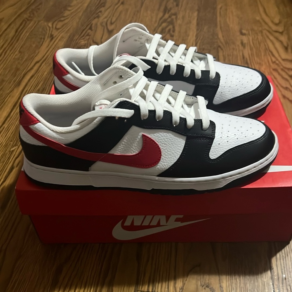 Men’s Nike dunk low